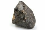 Eucrite Meteorite ( g) - NWA Main Mass #263810-2